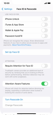 Press Turn Passcode On and key in a phone lock code of your own choice twice.
