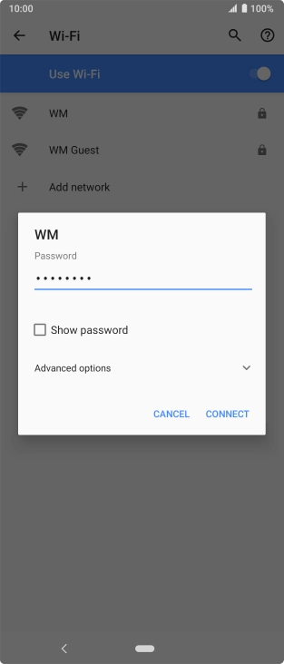 Key in the password for the WiFi network and press CONNECT.