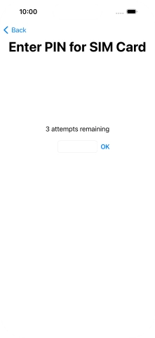 Key in your SIM PIN and press OK. The default SIM PIN is 0000.