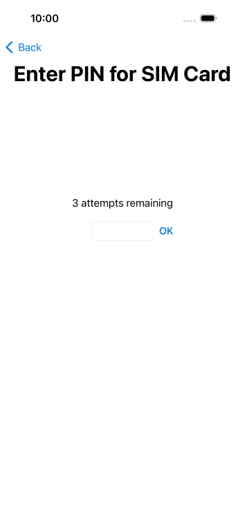 Key in your SIM PIN and press OK. The default SIM PIN is 0000.