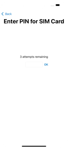 Key in your SIM PIN and press OK. The default SIM PIN is 0000.