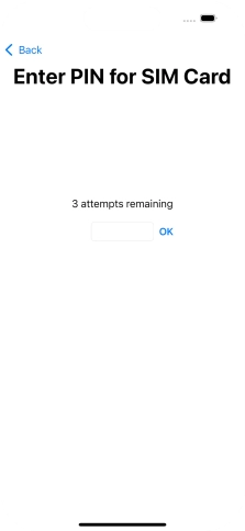 Key in your SIM PIN and press OK. The default SIM PIN is 0000.
