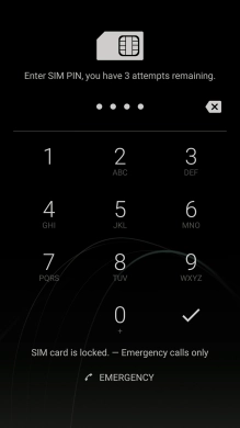 Key in your SIM PIN and press the confirm icon. The default SIM PIN is 0000.