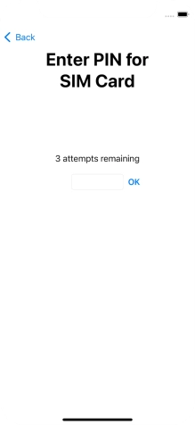 Key in your SIM PIN and press OK. The default SIM PIN is 0000.