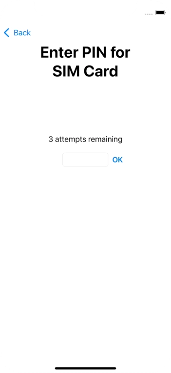 Key in your SIM PIN and press OK. The default SIM PIN is 0000.
