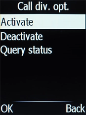 Select Activate.