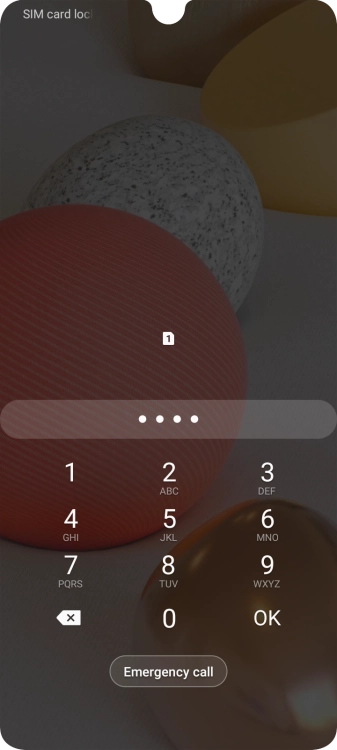 Key in your SIM PIN and press OK. The default SIM PIN is 0000.