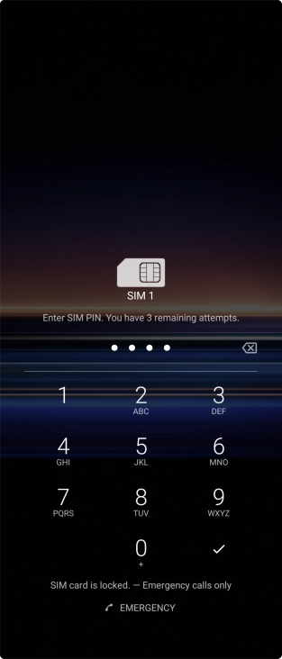 Key in your SIM PIN and press the confirm icon. The default SIM PIN is 0000.