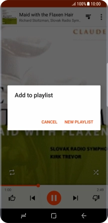 Press NEW PLAYLIST.
