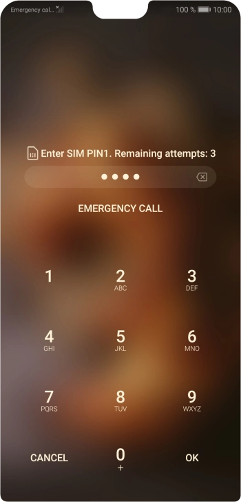 Key in your SIM PIN and press OK. The default SIM PIN is 0000.