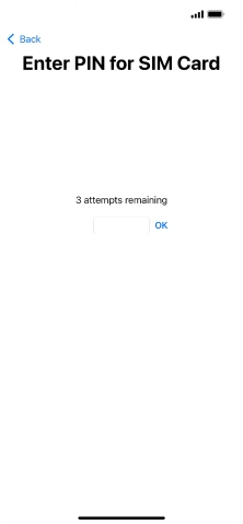 If your SIM is locked, key in your SIM PIN and press OK. The default SIM PIN is 0000.