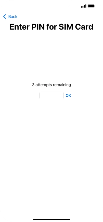 Key in your SIM PIN and press OK. The default SIM PIN is 0000.