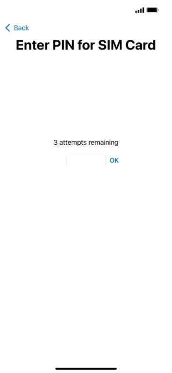 If your SIM is locked, key in your SIM PIN and press OK. The default SIM PIN is 0000.