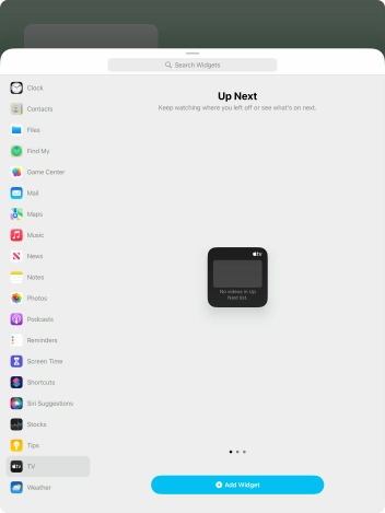 Slide your finger right or left on the screen to select the required widget size.