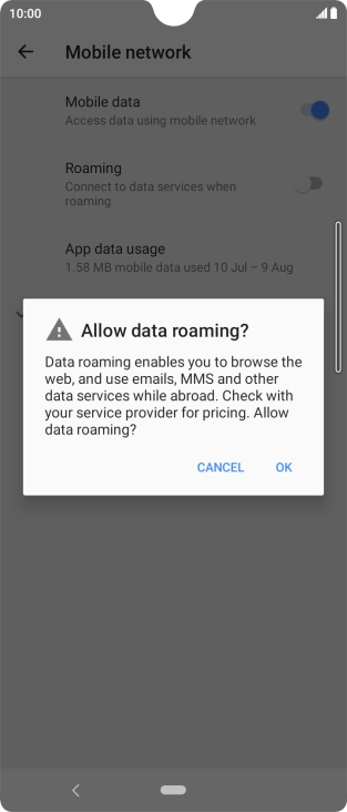 If you turn on data roaming, press OK.
