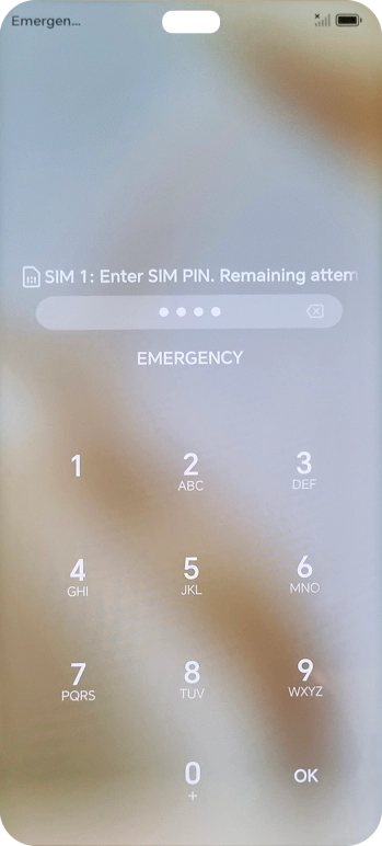If you're asked to key in your SIM PIN, do so and press OK. The default SIM PIN is 0000.