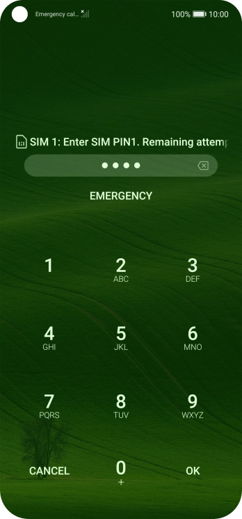 Key in your SIM PIN and press OK. The default SIM PIN is 0000.