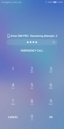 Key in your SIM PIN and press OK. The default SIM PIN is 0000.