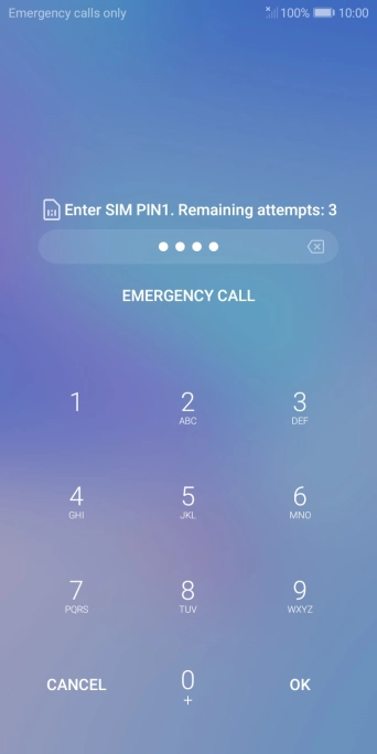 Key in your SIM PIN and press OK. The default SIM PIN is 0000.