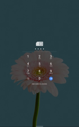 Key in your SIM PIN and press arrow right. The default SIM PIN is 0000.