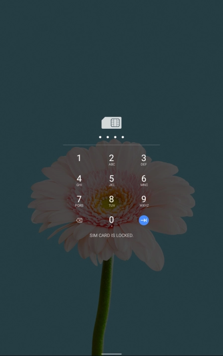 Key in your SIM PIN and press arrow right. The default SIM PIN is 0000.