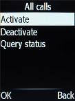 Select Activate.