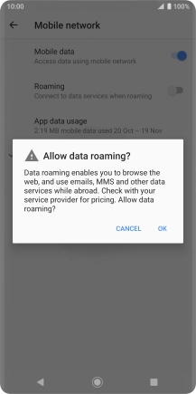 If you turn on data roaming, press OK.