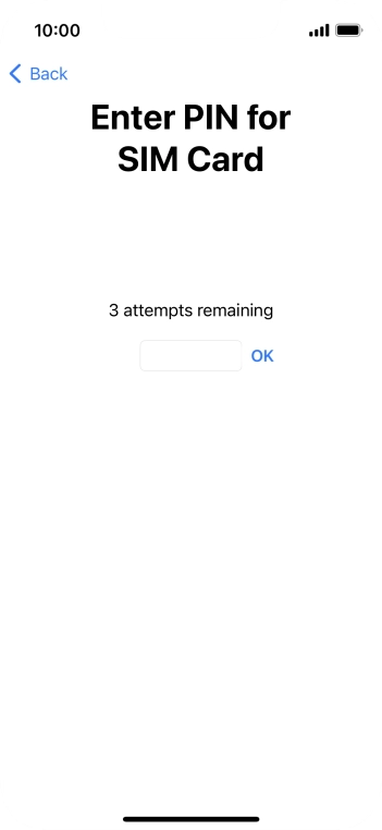 Key in your SIM PIN and press OK. The default SIM PIN is 0000.