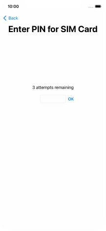 Key in your SIM PIN and press OK. The default SIM PIN is 0000.