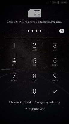 Key in your SIM PIN and press the confirm icon. The default SIM PIN is 0000.