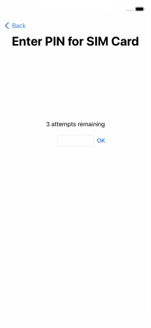 Key in your SIM PIN and press OK. The default SIM PIN is 0000.