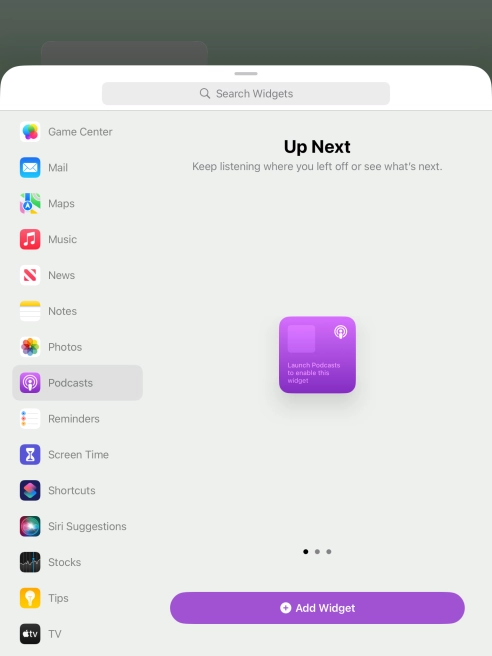 Slide your finger right or left on the screen to select the required widget size.