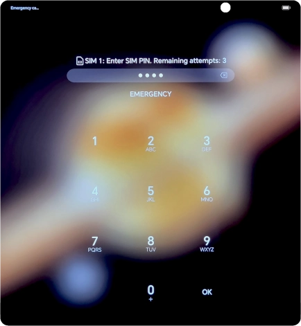Key in your SIM PIN and press OK The default SIM PIN is 0000.