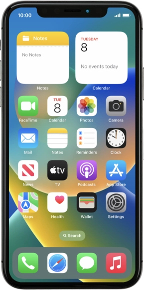 Apple iPhone X