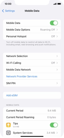 Press Mobile Data Options.