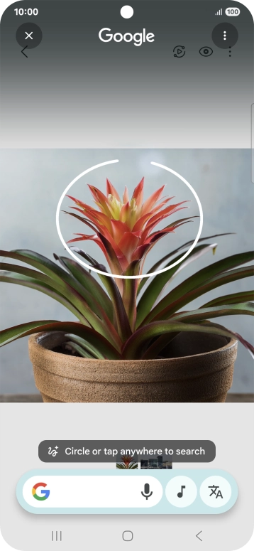 Draw a circle around the required object on the picture and wait for the search results. Draw a circle around the required object on the picture and wait for the search results.