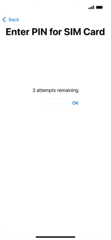 If your SIM is locked, key in your SIM PIN and press OK. The default SIM PIN is 0000.