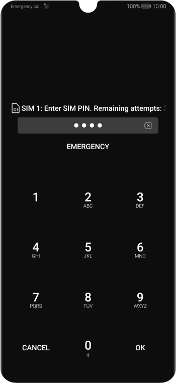 Key in your SIM PIN and press OK. The default SIM PIN is 0000.