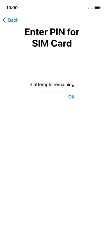 Key in your SIM PIN and press OK. The default SIM PIN is 0000.
