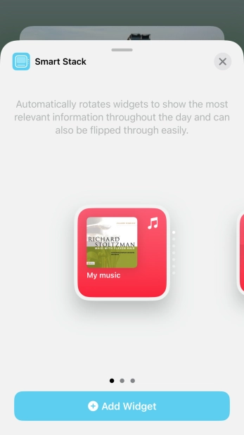 Slide your finger right or left on the screen to select the required widget size. Slide your finger right or left on the screen to select the required widget size.