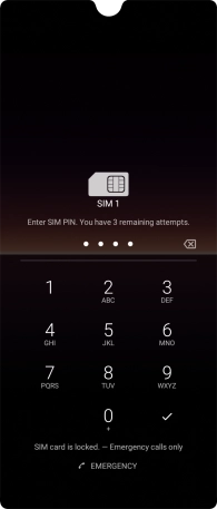 Key in your SIM PIN and press the confirm icon. The default SIM PIN is 0000.