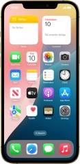 Apple iPhone 12 Pro Max
