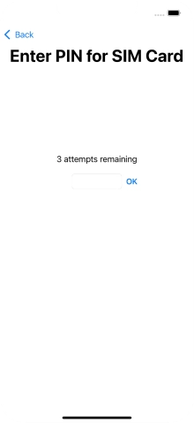 Key in your SIM PIN and press OK. The default SIM PIN is 0000.