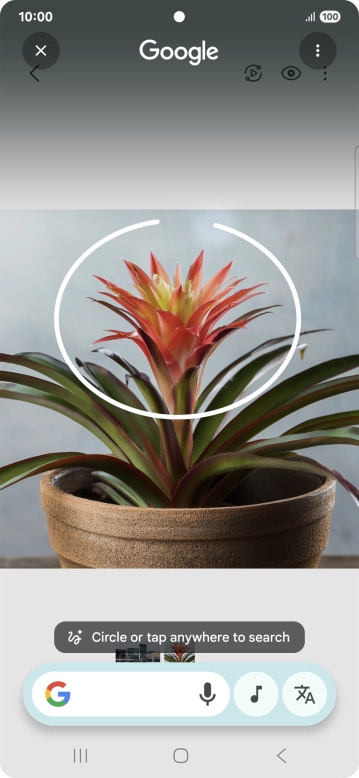 Draw a circle around the required object on the picture and wait for the search results. Draw a circle around the required object on the picture and wait for the search results.