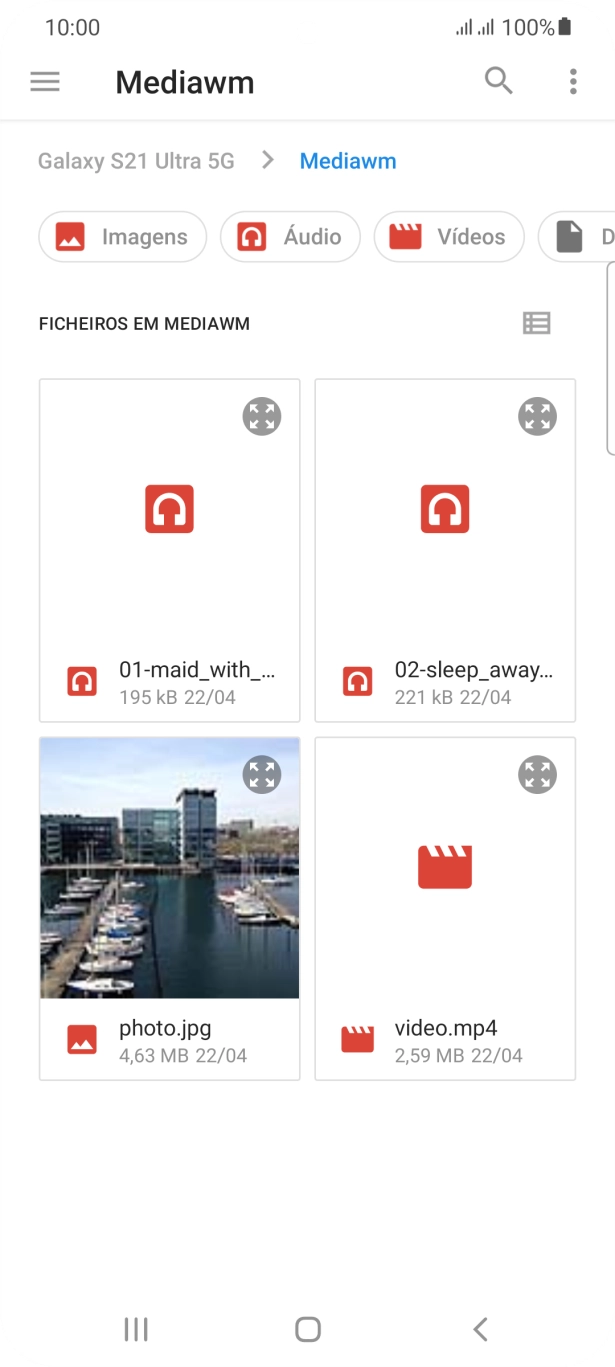 Prima o ficheiro pretendido.