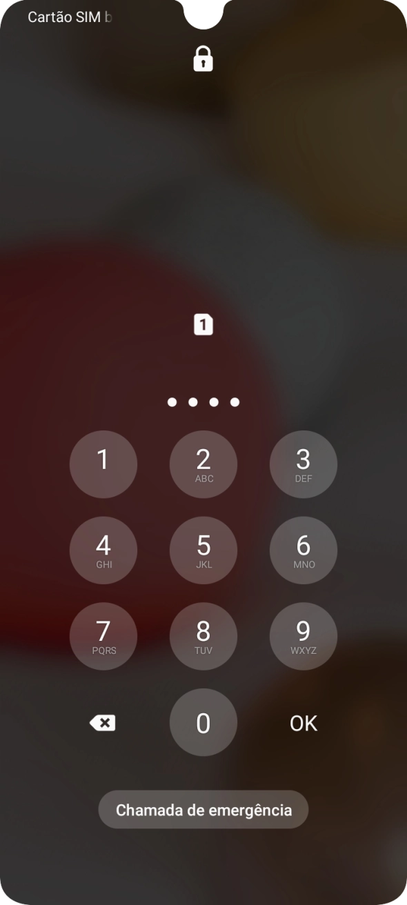 Se solicitado, deve introduzir o código PIN e premir OK.