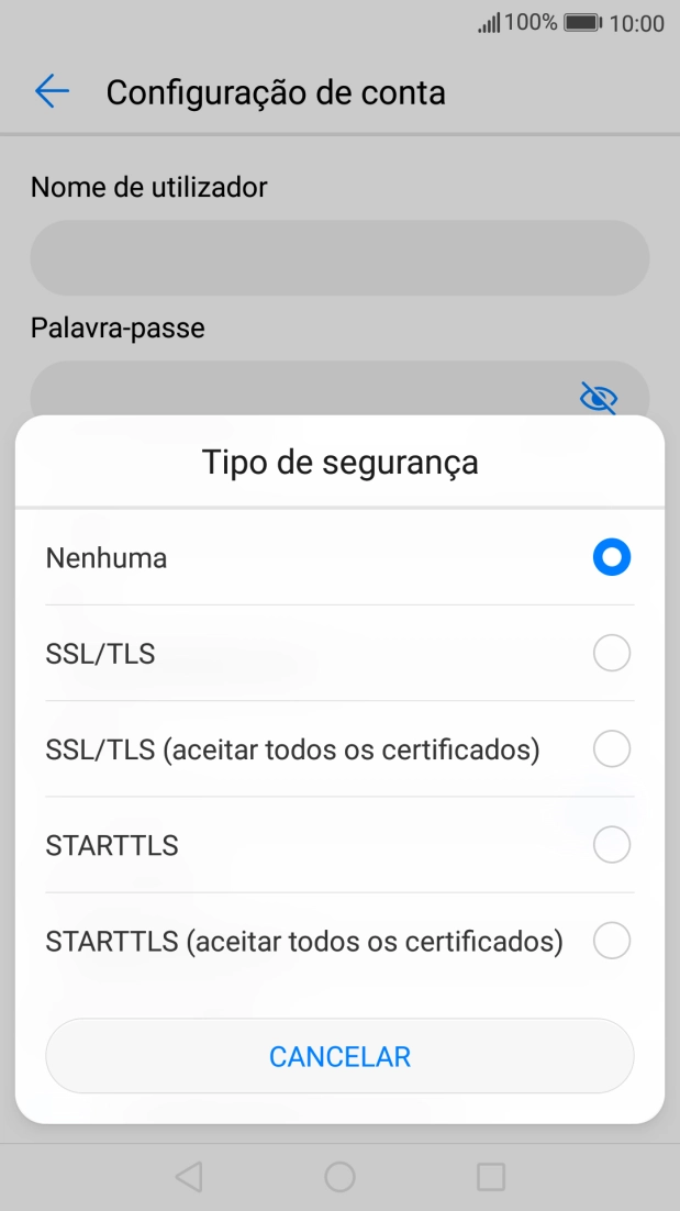 Prima SSL/TLS para ativar a função.