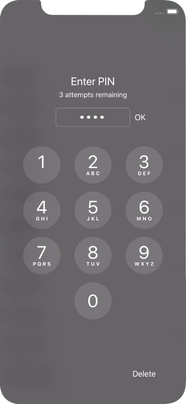 Introduza o seu código PIN e prima OK.