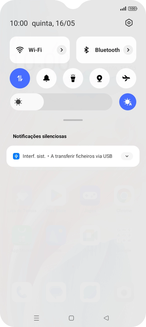 Prima Interf. sist..