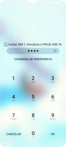 Se solicitado, deve introduzir o código PIN e premir OK.